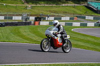 Vintage-motorcycle-club;eventdigitalimages;mallory-park;mallory-park-trackday-photographs;no-limits-trackdays;peter-wileman-photography;trackday-digital-images;trackday-photos;vmcc-festival-1000-bikes-photographs